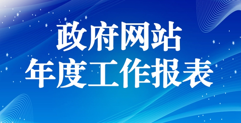 政府網(wǎng)站年度工作報(bào)表